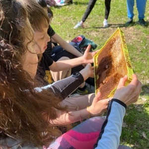 Detaily akce: Celoškolní jarní návštěva ve Včelařství Míša