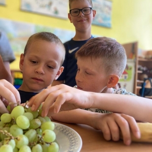 Detaily akce: Ovoce, zelenina a mléko do škol žákům moc pomáhá